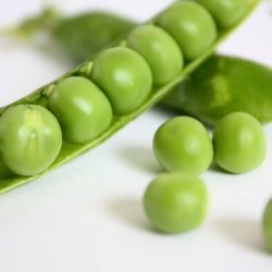 GEMELLI BIO DE POIS CASSÉS