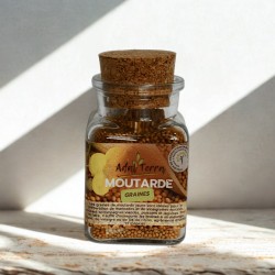GRAINES DE MOUTARDE...