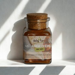 TEX MEX (ÉPICES)