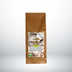 GRAINS DE PATES DE BLÉS...